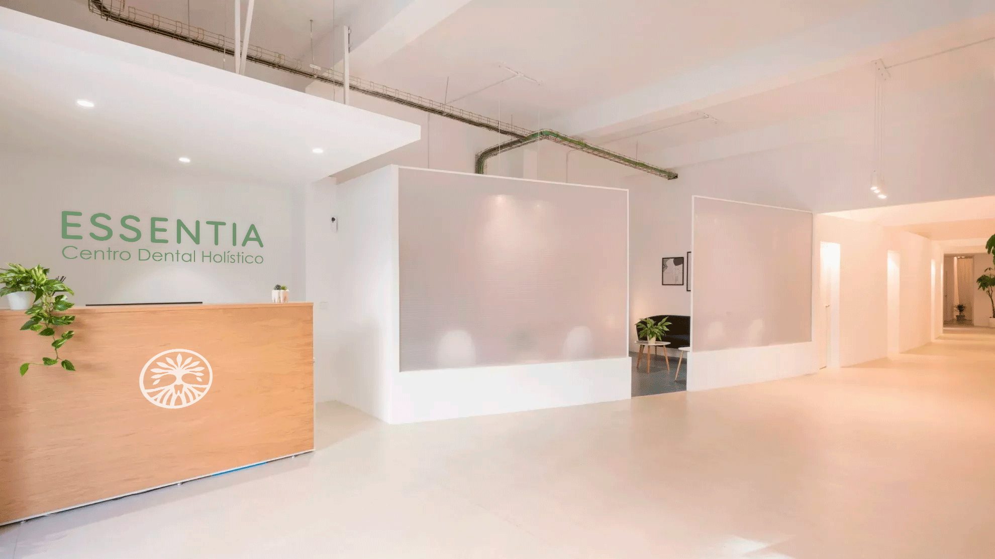 essentia
