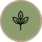 estrella
